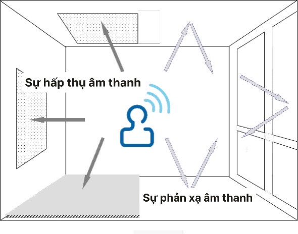 hấp thụ âm thanh, phản xạ âm thanh